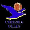 https://img.longzhuzhibot.com.cn/img/basketball/team/0d36b73786230e17d7d718ab10adab87.png