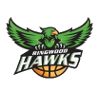 https://img.longzhuzhibot.com.cn/img/basketball/team/2b1e4d737f0d418d905ed896d80dea4b.png