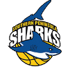 https://img.longzhuzhibot.com.cn/img/basketball/team/4e86af87d5374d18915264b3323b4530.png