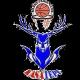 https://img.longzhuzhibot.com.cn/img/basketball/team/8d227b3823147bb0232df07807cb473a.png