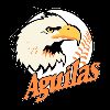 https://img.longzhuzhibot.com.cn/img/basketball/team/b194f85a50ad43e5917f5f73f0fad835.png