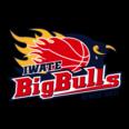 https://img.longzhuzhibot.com.cn/img/basketball/team/bcb478f91fa9177647848bc08ccc209c.png