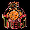 https://img.longzhuzhibot.com.cn/img/basketball/team/c396165af2b9468b95db1864473952bb.png