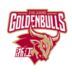 https://img.longzhuzhibot.com.cn/img/basketball/team/d1d77f07287fe840a7e77459e5bd1bfc.png