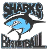https://img.longzhuzhibot.com.cn/img/basketball/team/fc6632a794e74357912e097eadf99a17.png