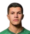 https://img.longzhuzhibot.com.cn/img/football/player/16b124055082fc8f6781e435c96936b2.png