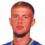 https://img.longzhuzhibot.com.cn/img/football/player/1ea502df31a0fd652a9f6c4223713521.png