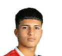 https://img.longzhuzhibot.com.cn/img/football/player/2f79f75edd8acf57fbb6ac4023887a91.png