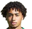 https://img.longzhuzhibot.com.cn/img/football/player/347a6d58ae7ec0425a4d42bc9215c411.png