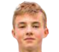 https://img.longzhuzhibot.com.cn/img/football/player/35ed5306cb93e4ac31b809a23b8b353c.png