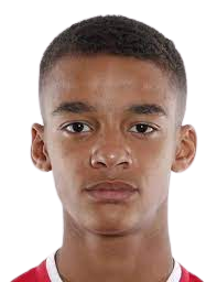 https://img.longzhuzhibot.com.cn/img/football/player/36ffb830d16dba074b96e5c8c1a2608f.png