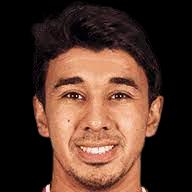 https://img.longzhuzhibot.com.cn/img/football/player/471218fe6b57f00febceabac9104a5b1.png