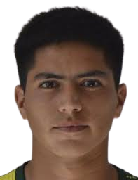https://img.longzhuzhibot.com.cn/img/football/player/593ada0d7956416c62dcbb7289ee303b.png