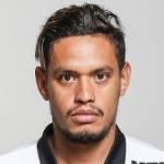 https://img.longzhuzhibot.com.cn/img/football/player/6f97099481d7ebc60e052cd198db3922.png