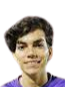 https://img.longzhuzhibot.com.cn/img/football/player/79c3a041737923f2795a82fbe6dd8fd1.png
