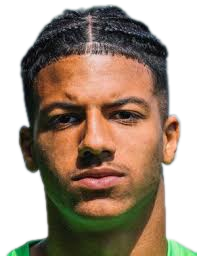 https://img.longzhuzhibot.com.cn/img/football/player/9d19e8105f21de966d2bd3d37a69a199.png