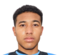 https://img.longzhuzhibot.com.cn/img/football/player/d7bc71cad19fb7019c0a27186d554ad5.png