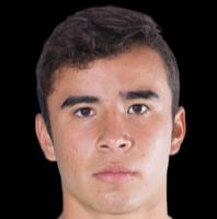 https://img.longzhuzhibot.com.cn/img/football/player/e6ba71c8a264905237df26de38ba3db5.png