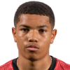 https://img.longzhuzhibot.com.cn/img/football/player/e94bf449af6b08f188fbd24c767ab4b9.png