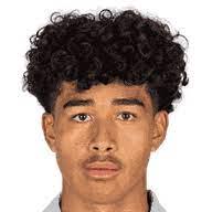 https://img.longzhuzhibot.com.cn/img/football/player/f07b040db42157ac0f5955af9744f895.png
