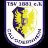 https://img.longzhuzhibot.com.cn/img/football/team/0425718c842cc1330a6507bdde3c1da4.png