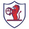 https://img.longzhuzhibot.com.cn/img/football/team/11fb72f7b5eacfc881ee11bac75871fa.png