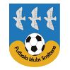 https://img.longzhuzhibot.com.cn/img/football/team/259a1106a33b56d2bb3c458a62ffa2ea.png