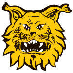 https://img.longzhuzhibot.com.cn/img/football/team/9f170a9ffc15b4141b790f4ff042cc51.png