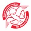 https://img.longzhuzhibot.com.cn/img/football/team/d36600b0d587deb2d59cab88dfca9b00.png