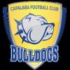 https://img.longzhuzhibot.com.cn/img/football/team/da8bfcabb427caa8c01fbb244a1f77aa.png