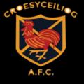 https://img.longzhuzhibot.com.cn/img/football/team/e86121144725883dba28d2b1cc6c7e12.png